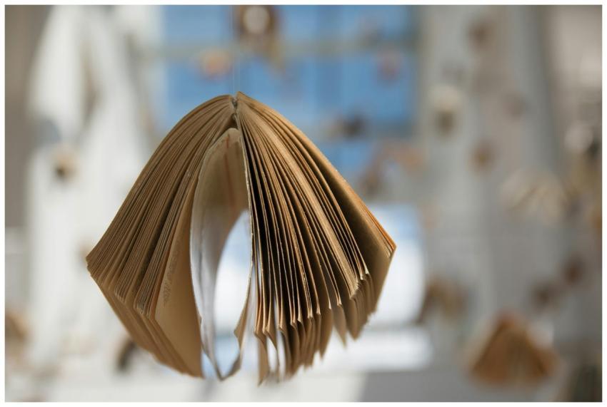 Hanging open book with sunlight streaming in, crea