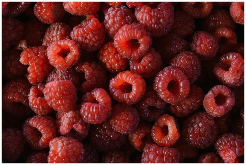 Vibrant top view of fresh organic raspberries, hig
