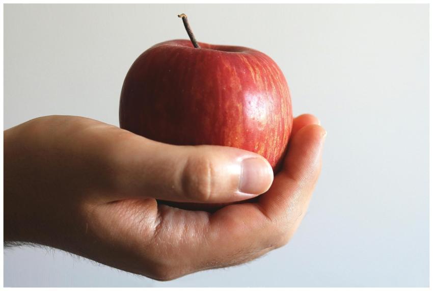 Close-up image of a hand holding a ripe red apple,