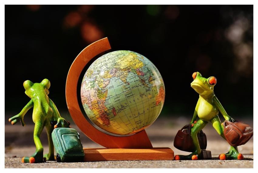 Frogs To Travel Travel Vacations