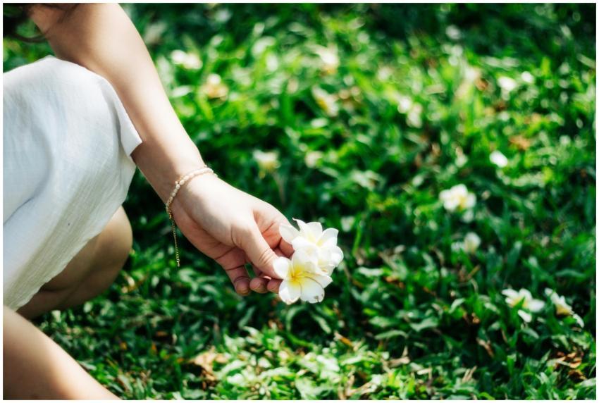 Asian Woman Picking Frangipani