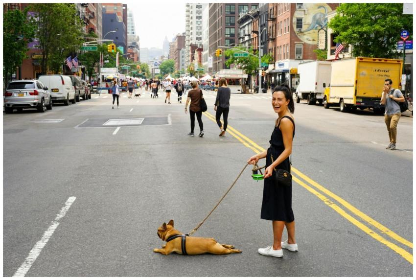 A joyful woman walks her French Bulldog on a bustl