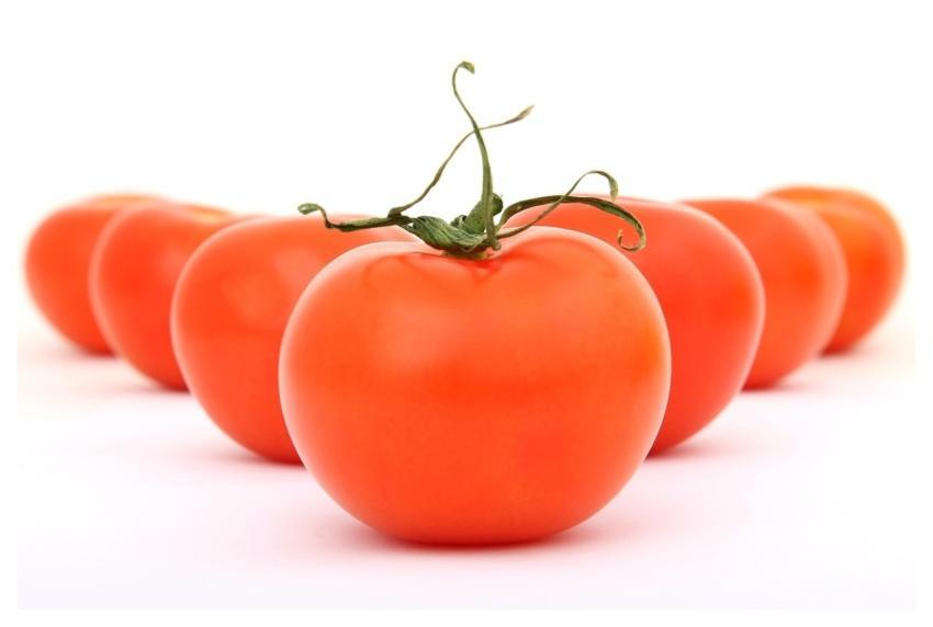 Tomatoes Vegetables Food Fresh