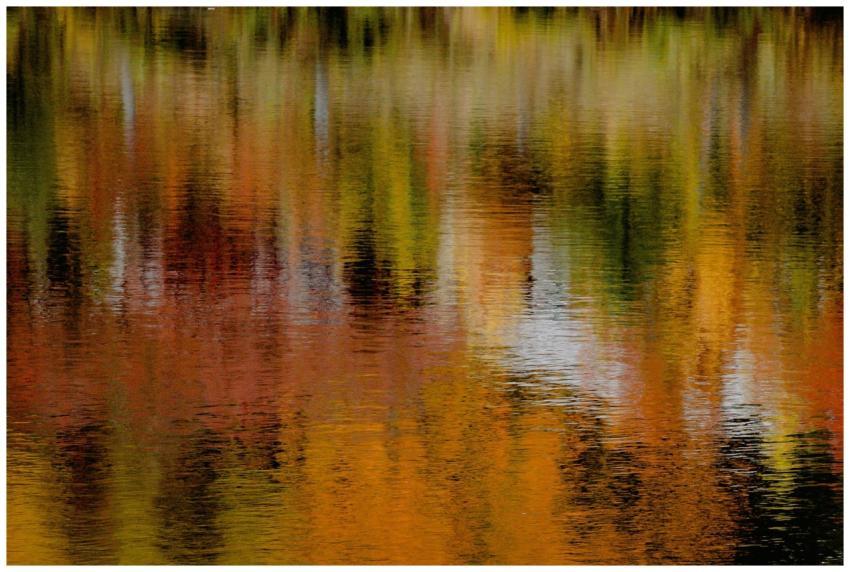 Vibrant fall foliage reflected in a serene lake, c