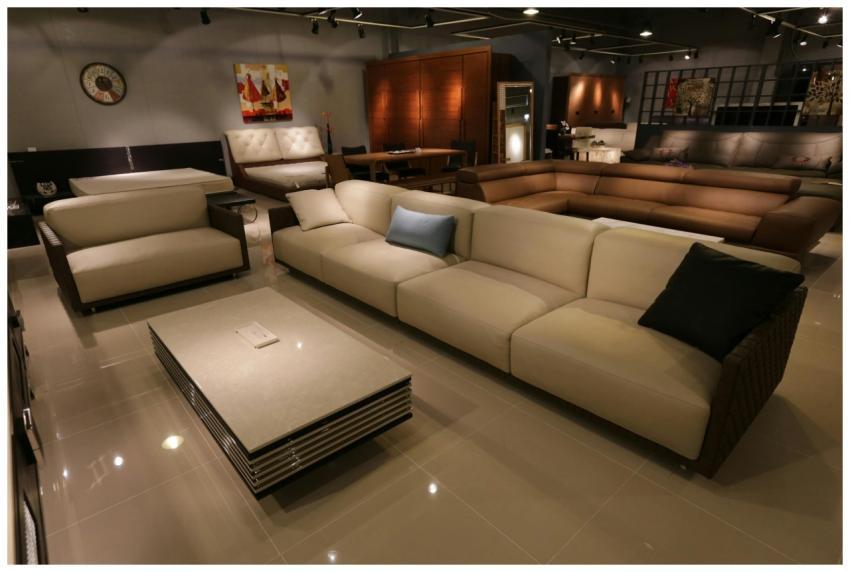 Elegant living room showcasing modern furniture wi