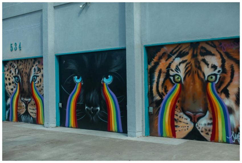 Colorful graffiti featuring a leopard, panther, an