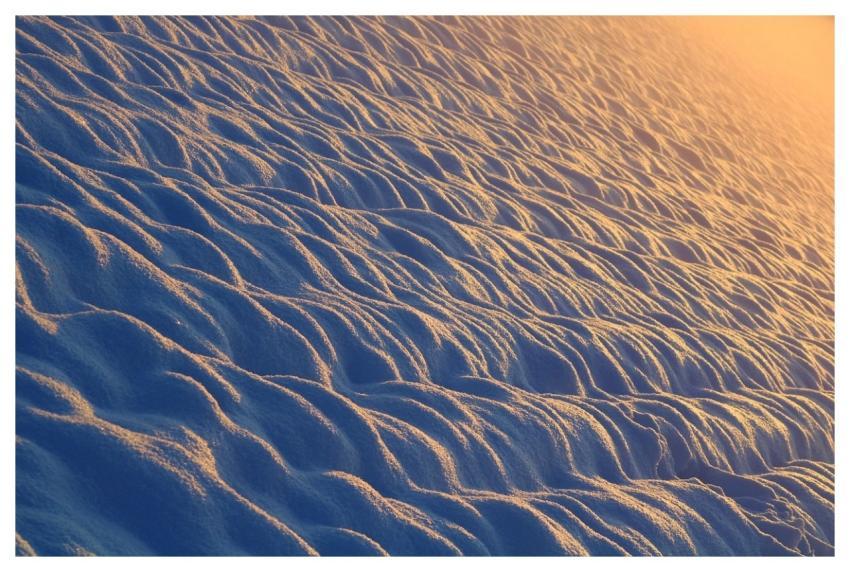 Snow Winter Cold Wintertime