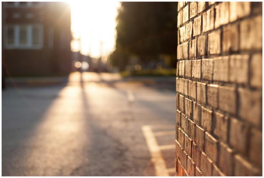Close-up of a sunlit brick wall with blurred urban