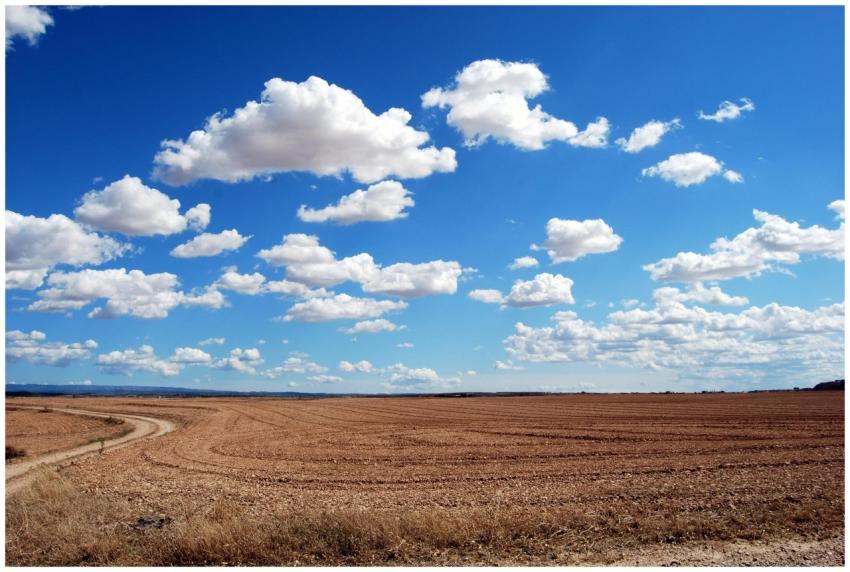 Expansive rural field with fluffy clouds and a cle