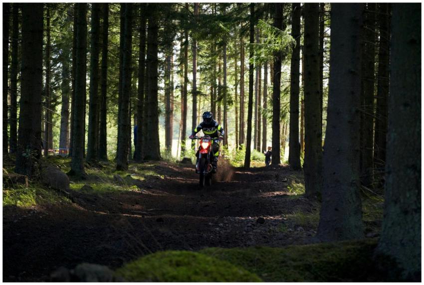 Motocross rider speeding through a Swedish forest