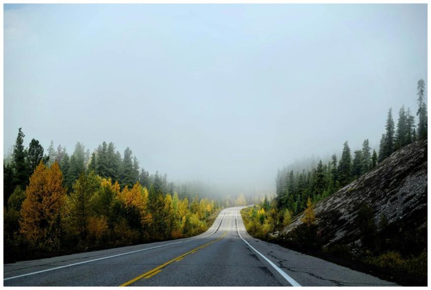 Misty highway cutting through autumn foliage with