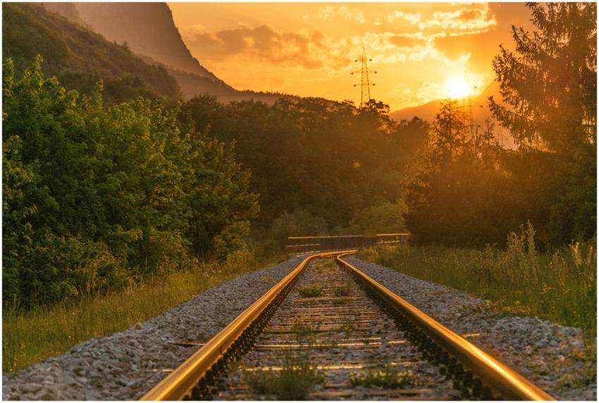 Golden sunset over railway tracks surrounded by lu