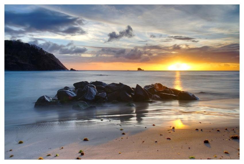 Beach Seaweed Sunset Sea