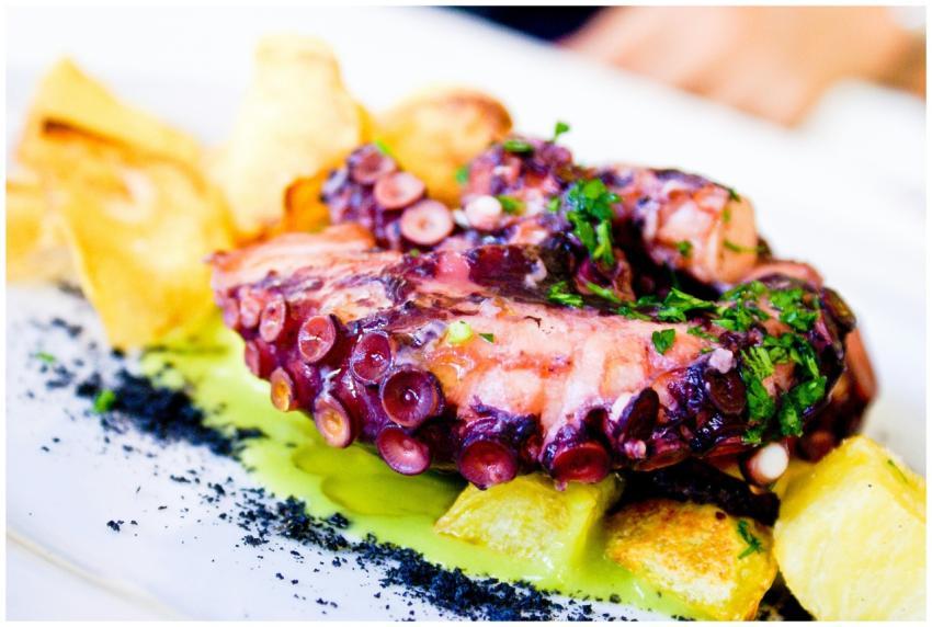 Close-up of a grilled octopus dish garnished with