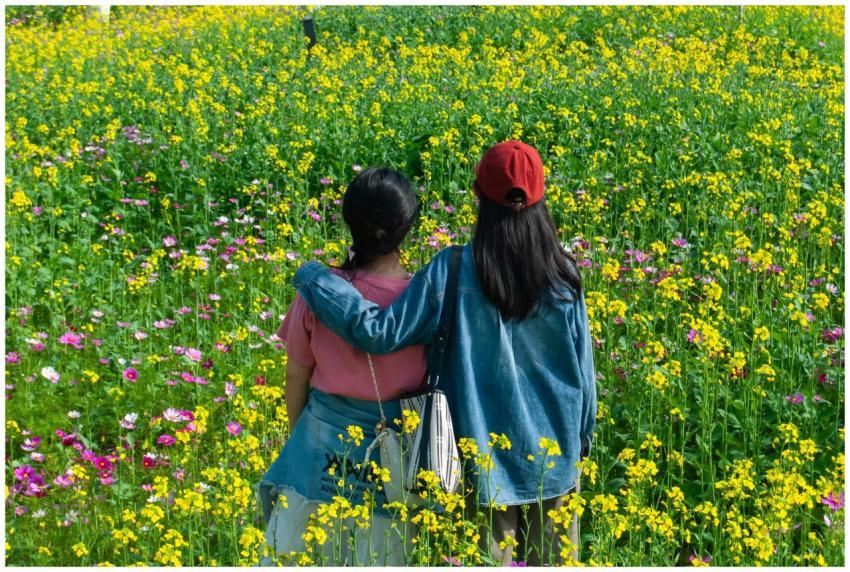 Two friends in a colorful wildflower field, embody