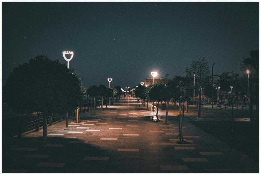 A tranquil nighttime view of a promenade with illu
