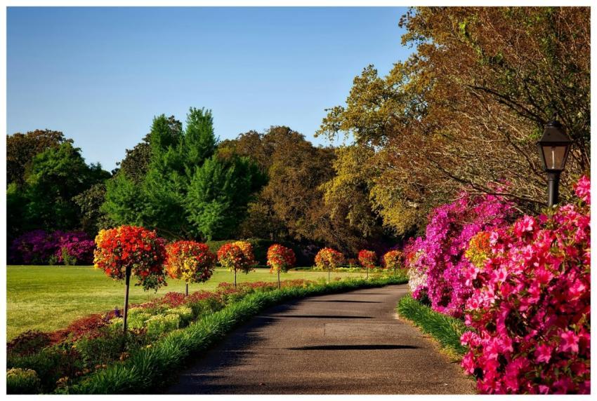 A scenic outdoor garden with vibrant floral displa