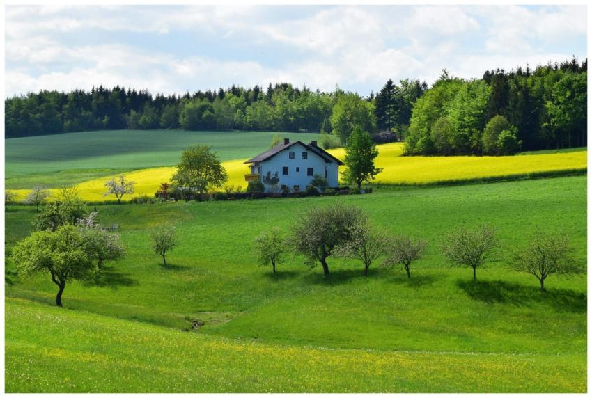 Charming farmhouse surrounded by vibrant fields an