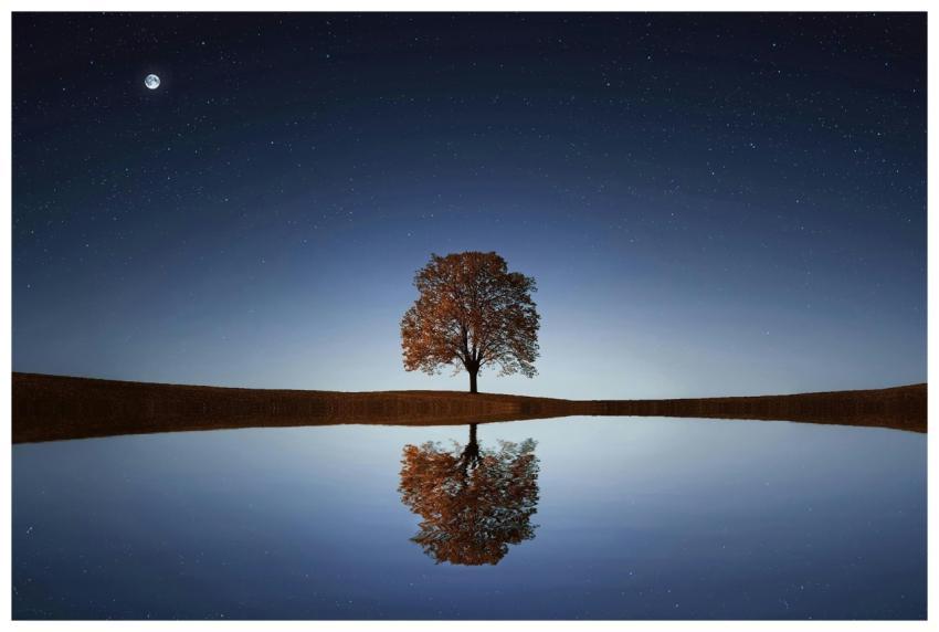 Serene night landscape with a solitary tree reflec