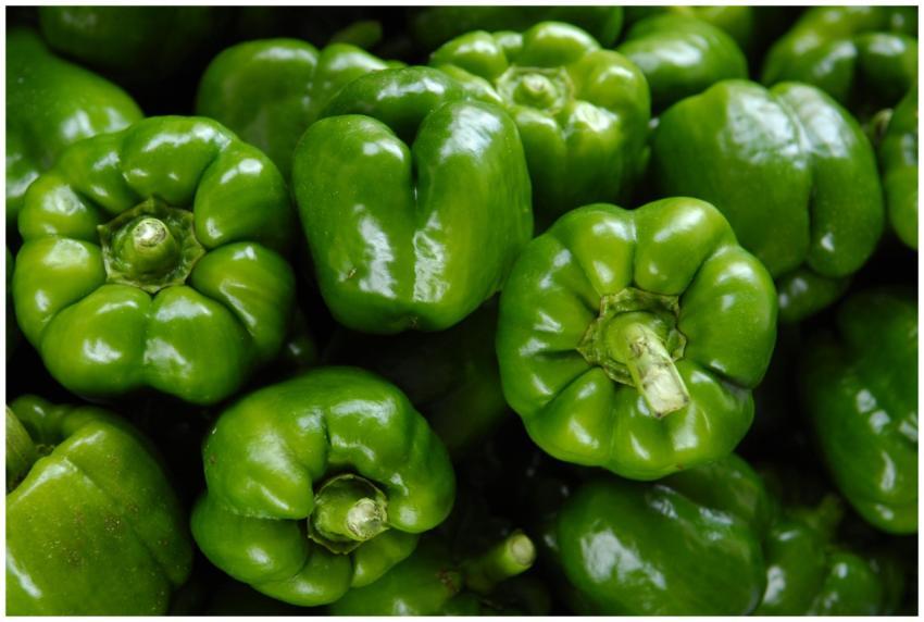 Close-up of fresh organic green bell peppers showc