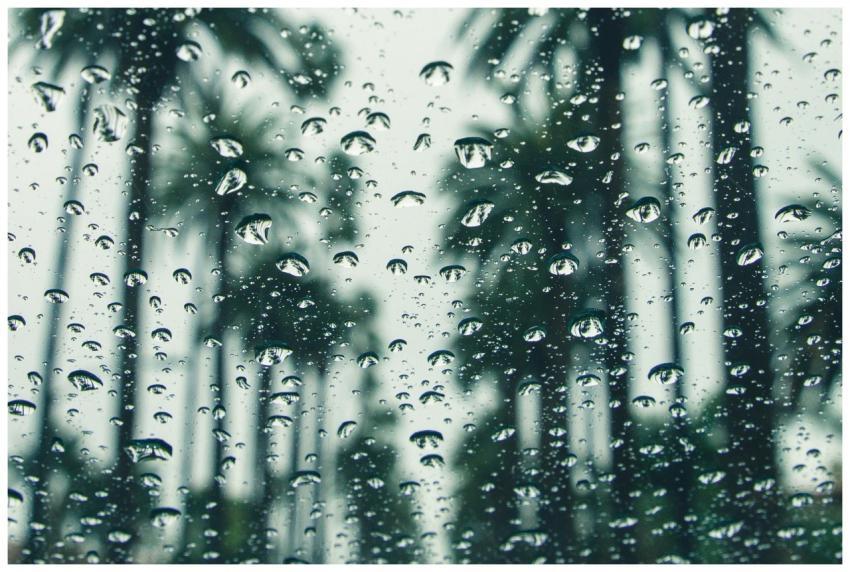 Raindrops on a window with a blurred view of palm