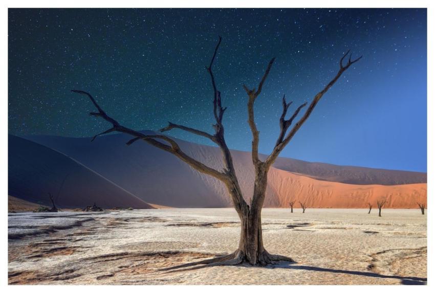 Namibia Deadvlei Panorama Acacia