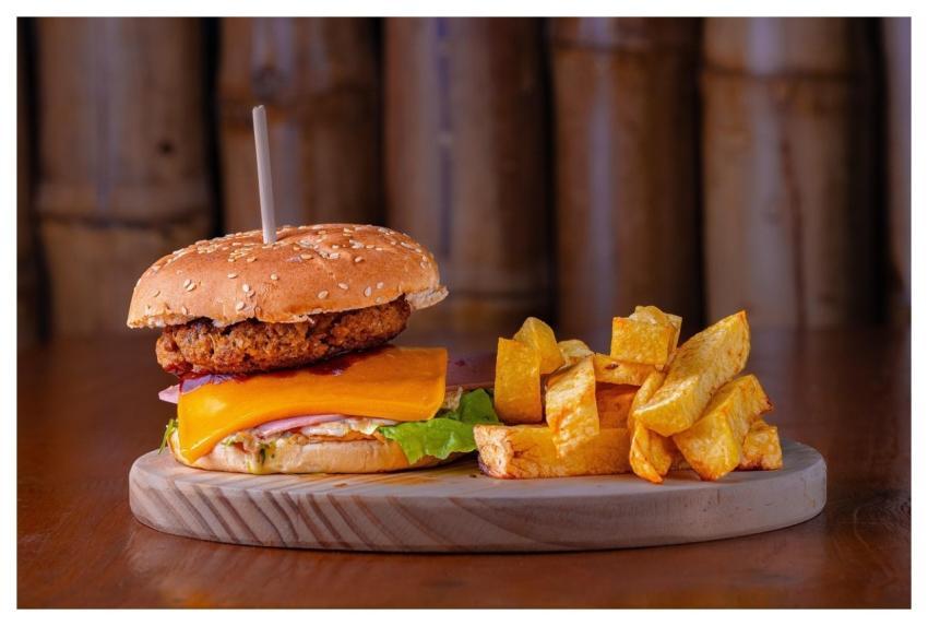 Fast Food Burger Fries Fried