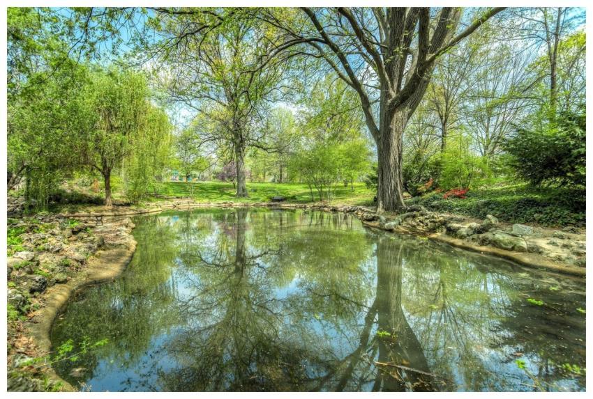 Explore a serene park setting with a calm pond ref