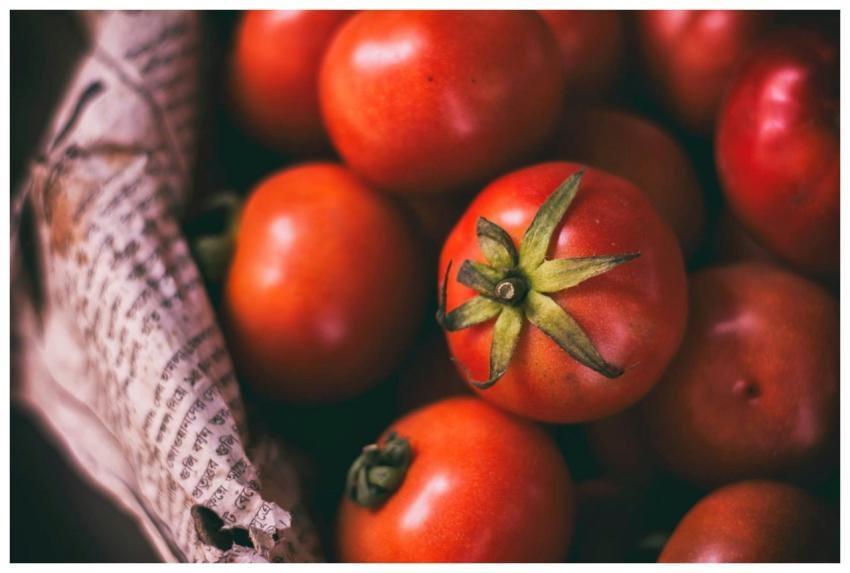 Close-up image of ripe, juicy cherry tomatoes arra