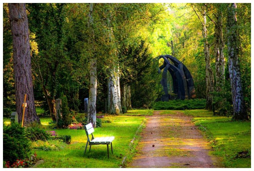 Serene pathway through a forested cemetery area wi