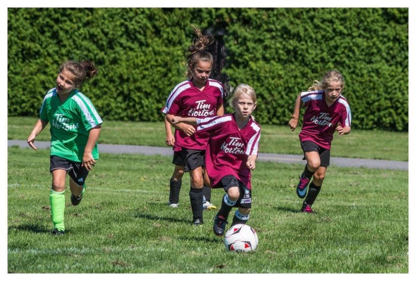 Soccer Nature Summer Sport