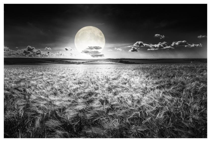 Moon Moonlight Night Light