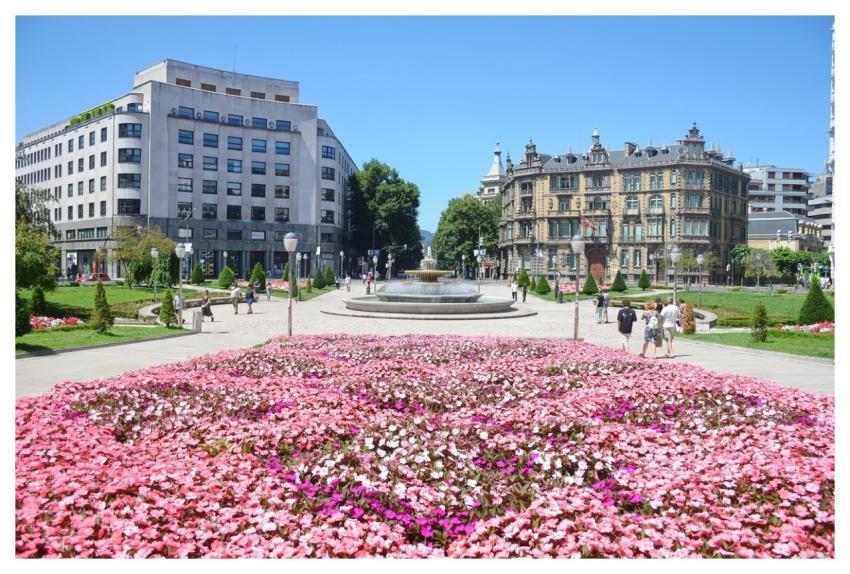 Landscape Beautiful Flowers Cityscape Architecture