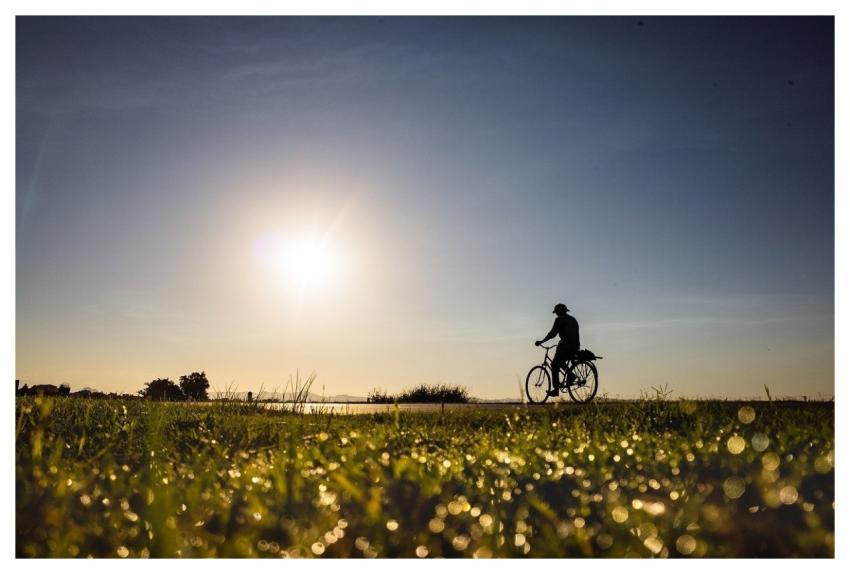 Labor Farmer Work People