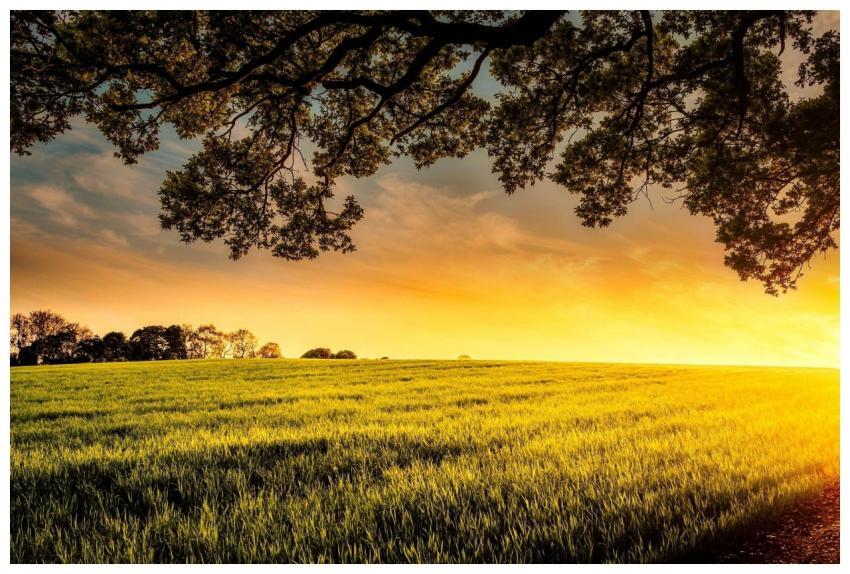 A serene sunset view over a lush green field with