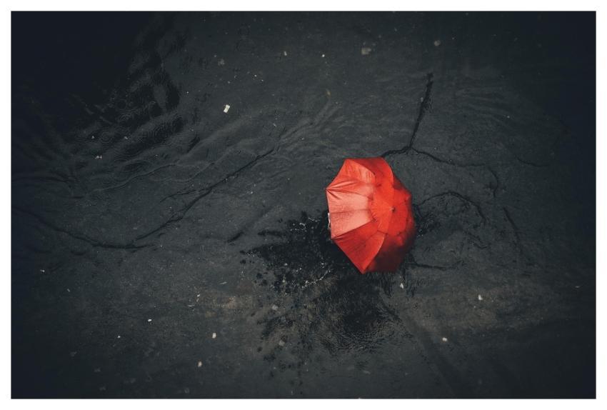 Rain Umbrella Pavement Nature