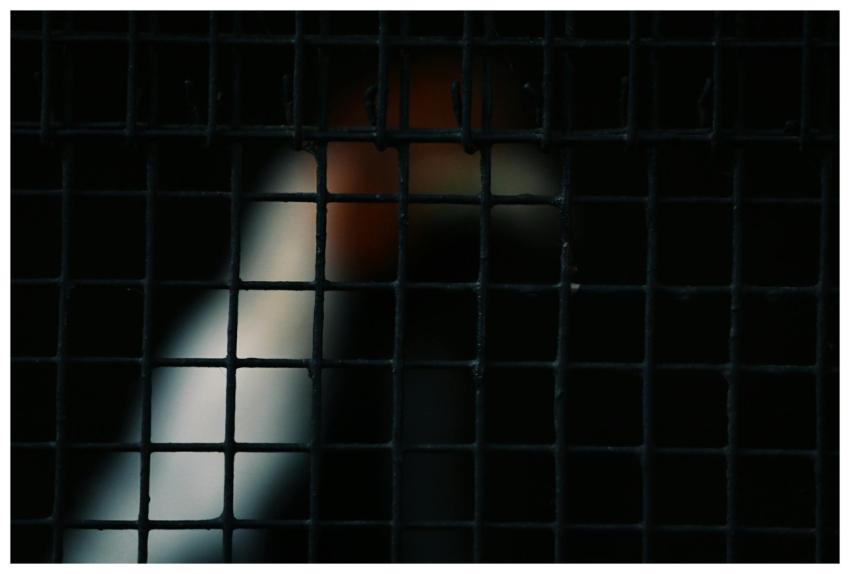 Close-up of a metal grid with abstract light patte