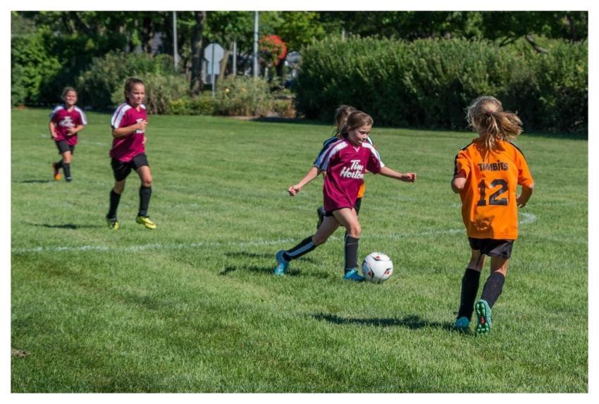 Soccer Summer Nature Sport