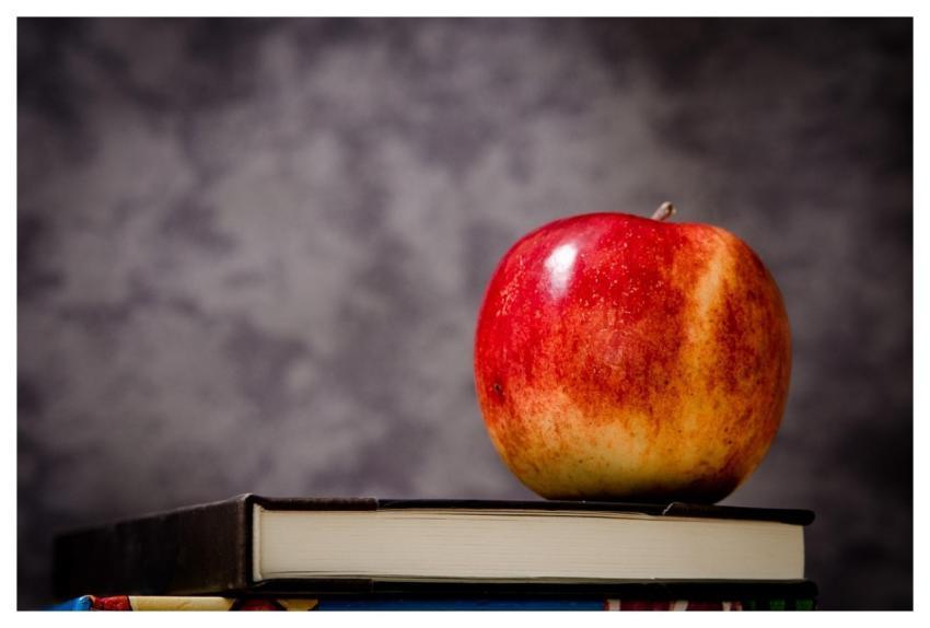 Apple Book Still Life Red Apple