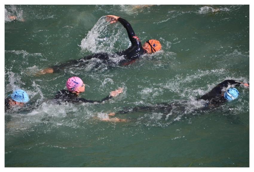 Water Swimming Sport Nature