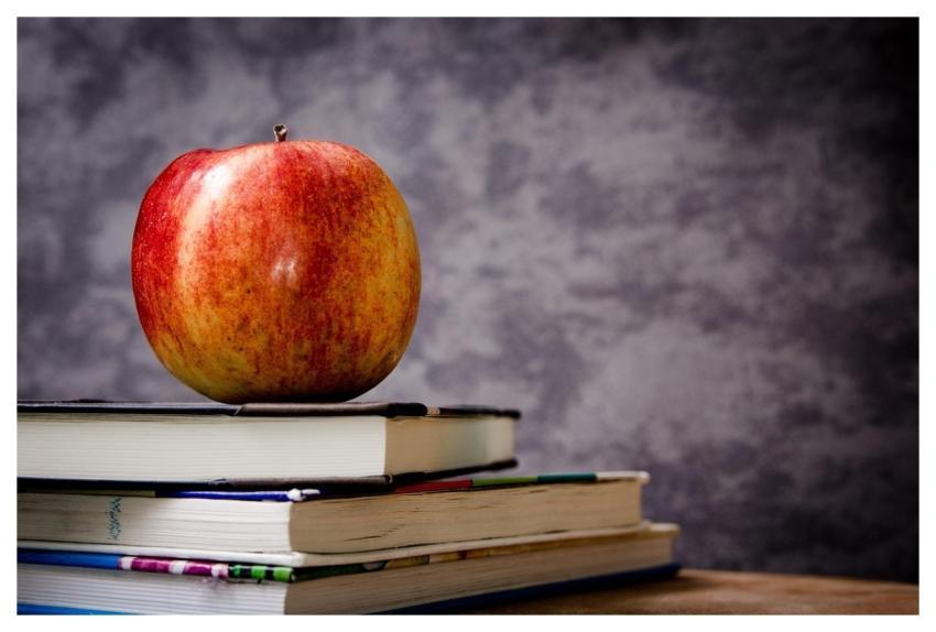 Apple Books Still Life Fruit