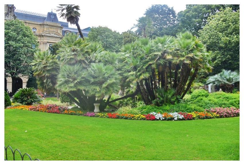 Garden Nature Background Full Hd Wallpaper 4K Wall