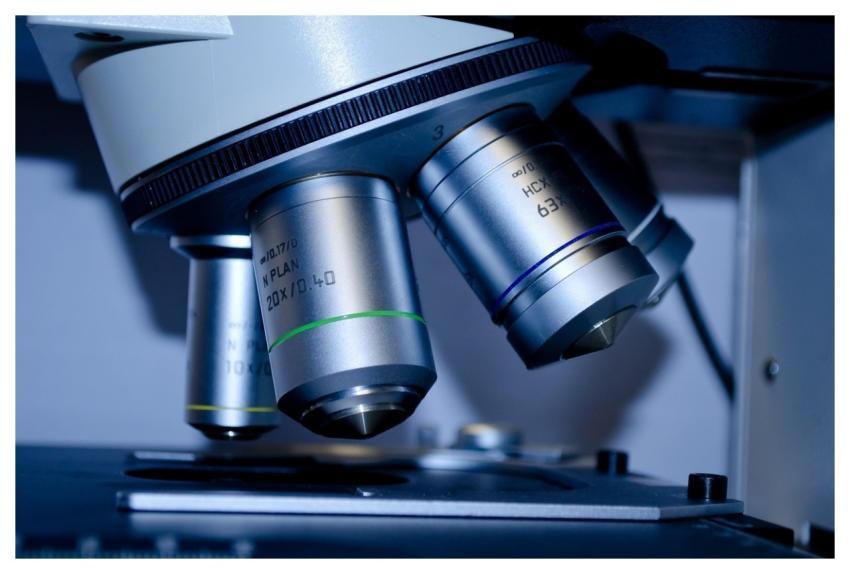 Microscope Slide Research Close-Up