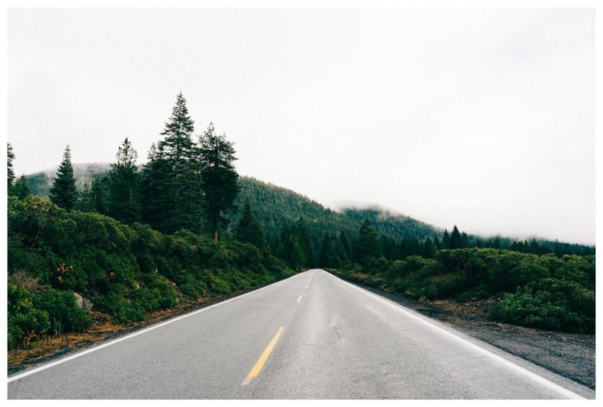 Open road through lush forest landscape with overc