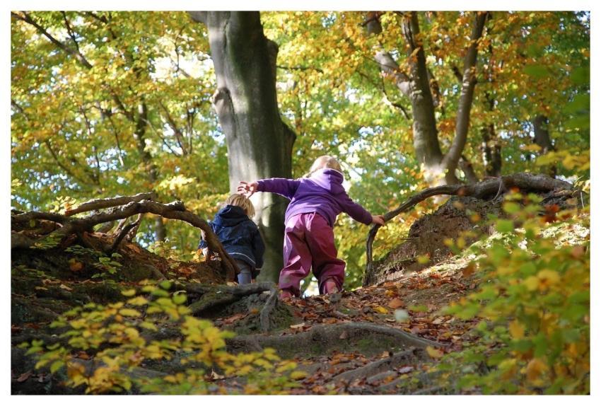 People Balance Forest Autumn
