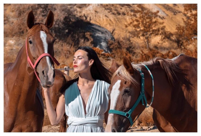 Nature Wood Horse Landscape