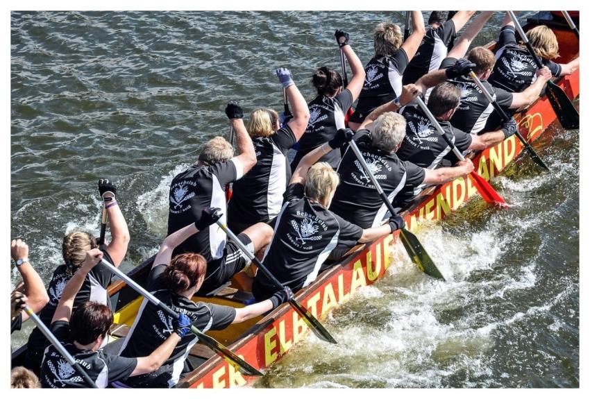 Dragon Boat Dragon Boat Racing Rowing Action