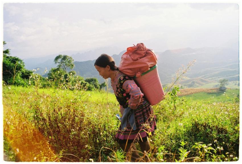 Ethnic Woman Walking Scenic
