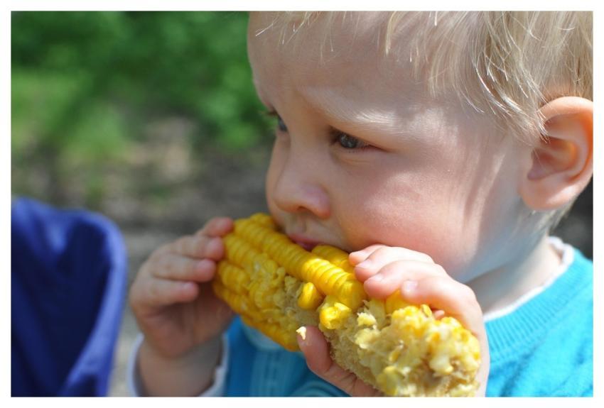 Child Annual Corn Health