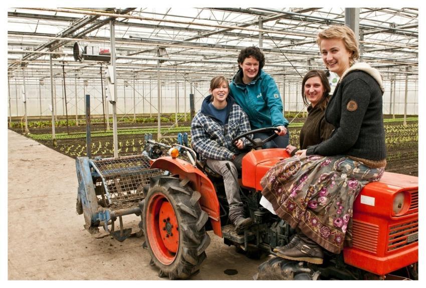 Tractor Women Gathered Woman